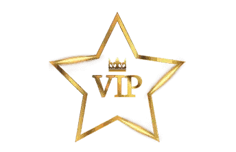 sa บาคาร่า VIP บริการระดับพรีเมี่ยม